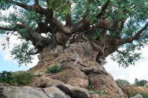 tree of life - Disney Wire Florida
