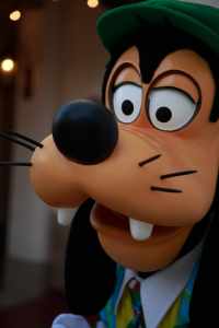 Is Goofy a Cow