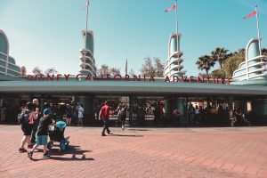 Do Disney Employees Get Free Tickets for Theme Parks?